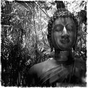 Buddha by Rachel Ruderman