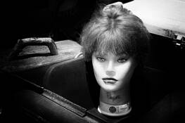 Congeries by Ralph Henzler