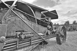 The Gray by Rick Pearson