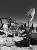 Evil Spirits by Mark Raymond Mason