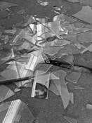 Eyes by Mark Raymond Mason