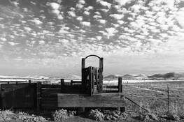 Cattle Chute to Heaven by Marshall Gould