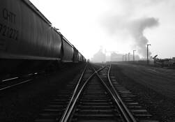 The Grain Train by Marshall Gould