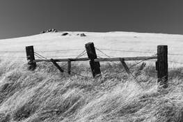 Three Fence Posts by Marshall Gould