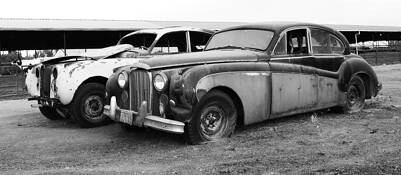 Two Old Jaguars Awaiting Cosmetic Surgery by Marshall Gould