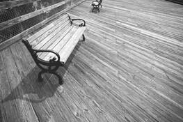 Parallels by Lawrence Cincotta