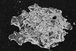 Jewel 6 by Louis M. Champion