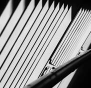 Railing by Karen Colbert