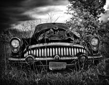 Ferocious by Jane Vickers