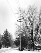 Perry Path by Jeanine Michna Bales