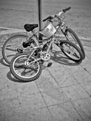 Bicycles by Hal Kaye