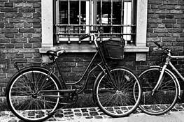 Bicycles by Jacqueline Byers