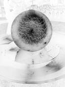 Cobalt Gazing Orb by Francine Douaihy