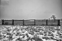 Fence by Gilbert Maker