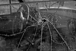 Window Service by Donna Rosser