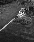 The Committee by Edward Ries