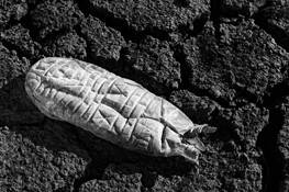 That Hot Summer by Dennis Fritsche