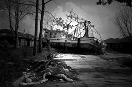 Make Levees Not War by Cindy Bendat