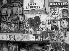 Lost Liberty by Dale LaFollette