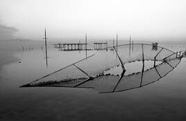 Broken Fence by Dan Nanni