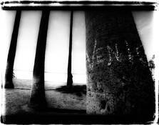 Venice Beach by Ben Barnes