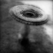 William Faulkner's Birdbath by Ben Barnes