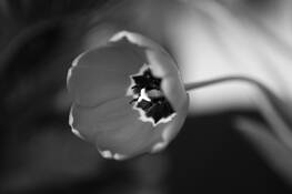 Untitled #1 by Andy Brooks