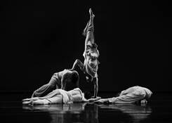 Motion #1 by Bill Cameron