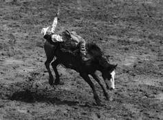 Reaching for That Buckle by Marshall Gould