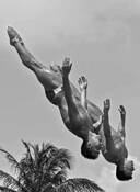 Syncro Dive by Michael Gora