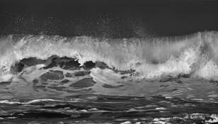 Pacific Surge by Robin Ward