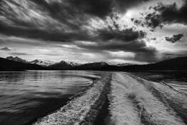 Wake by Rodger Overholser