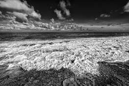 Facing the Truth by Herminio Alberti