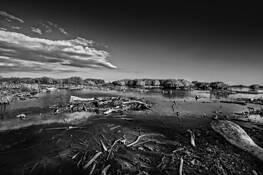 Magical Mystery Path by Herminio Alberti