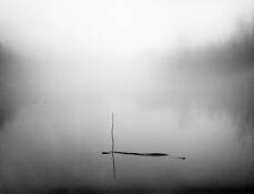 On the Batture Three Sticks by Eleanor Owen Kerr