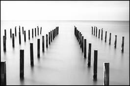 Teorie by Enrico Nicolo