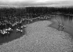 Ice Forming by Ernie Husulak