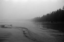 Winter's Day by Fiona Howarth