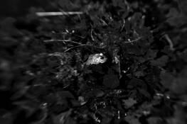 Waiting by Edda Blume