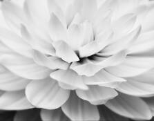 Evolution by Jack Curran
