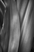 Soft Embrace by Jack Curran