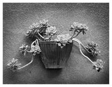 Provence by Jean-Pierre Pepin