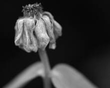 Seasons End by John Diephouse