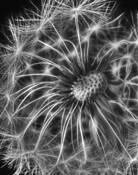 Untitled 1 by Keith Harper