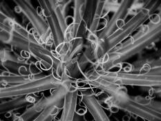 Untitled 3 by Keith Harper