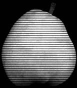 The Striped Pear by Mary Woodman