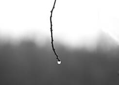 Last Drop by Michael A. McCullough