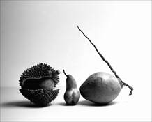 Fruits by Peter Pusztai
