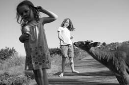 Back for More by Barbara O'Shea