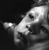 Loss of a Pet by Doug Bisson